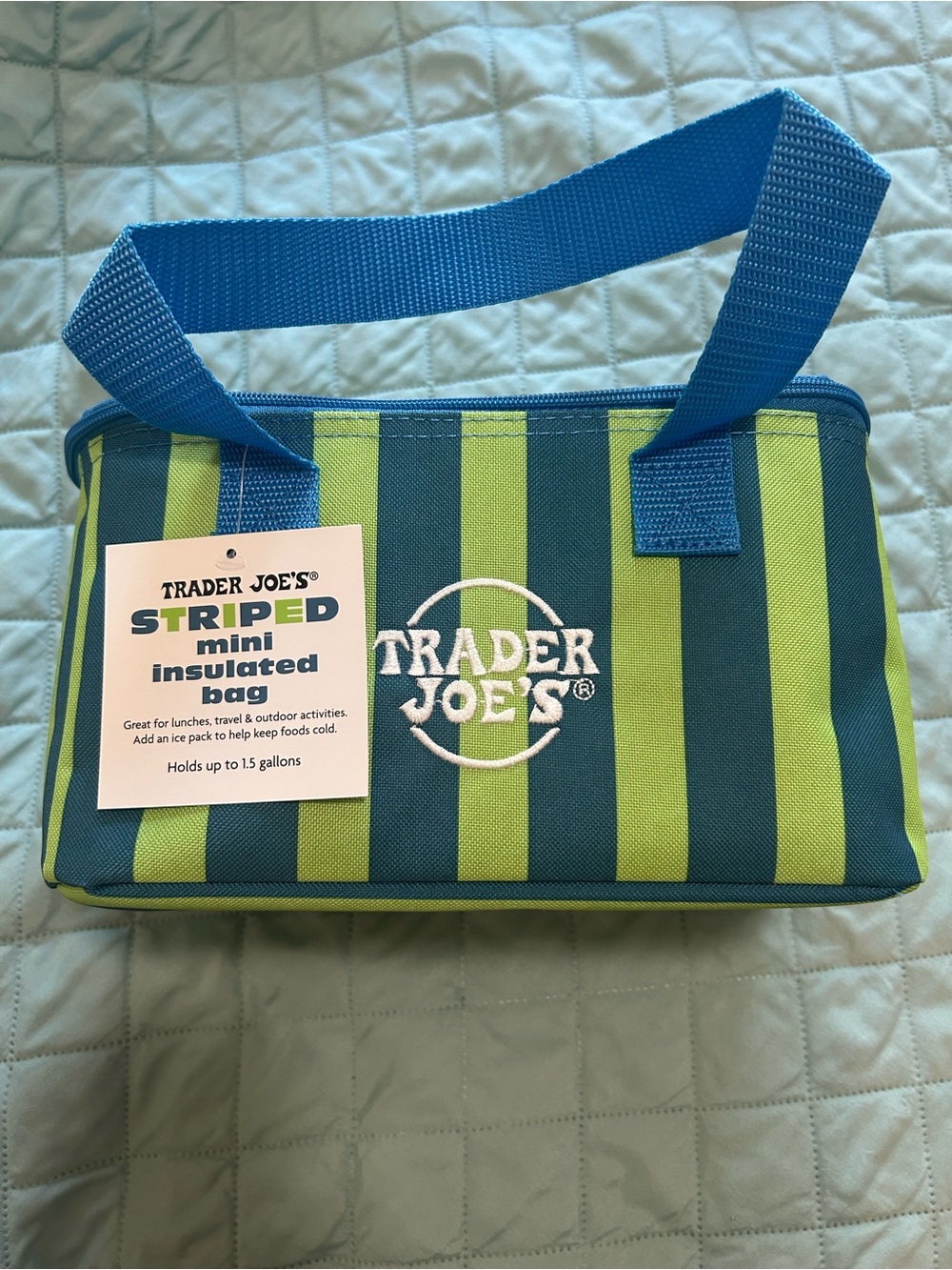 Trader Joe's Striped Mini Insulated Bag in Blue and Green